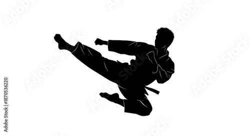 Martial arts athlete in dynamic kicking motion silhouette