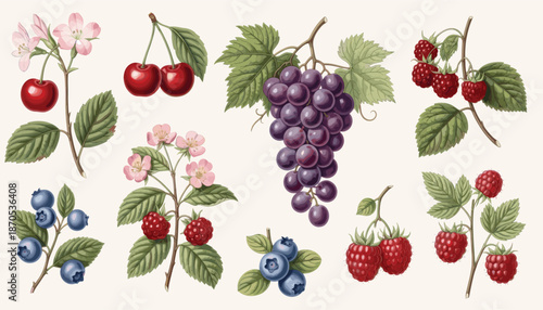 Vibrant watercolor illustration of assorted fresh fruits and berries arrangement