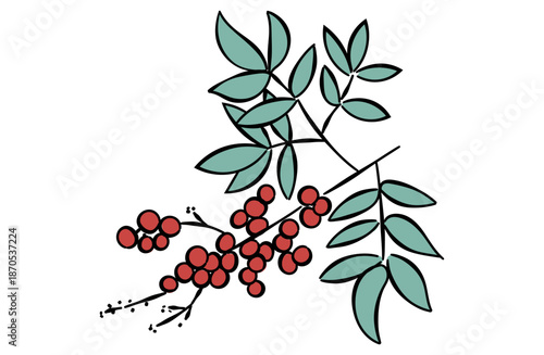 南天のイラスト(線あり)