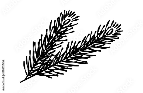 松の葉の線画イラスト