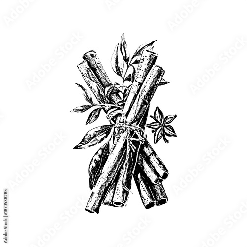 Cinnamon Sticks Botanical Spice Illustration