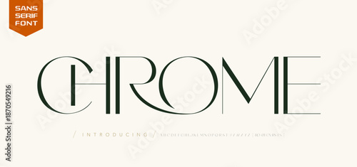 Modern luxury beauty logo alphabet font. Typography beautiful fashion elegant classic letters serif italic fonts decorative wedding vintage blossom logos. vector illustration