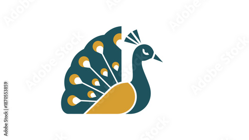 Elegant peacock illustration showcasing vibrant feathers and graceful posture in a minimalist design.