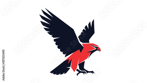 Majestic red and black hawk soaring through the air, ready to hunt.