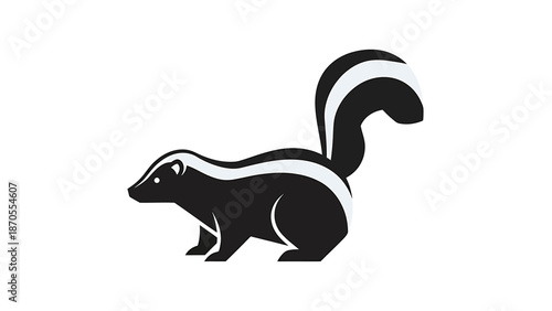 Striking black and white skunk illustration showcasing its distinctive markings and posture.