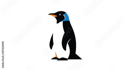 A solitary penguin stands tall, showcasing its striking black and white plumage against a clean backdrop.
