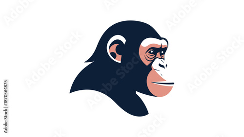 Chimpanzee portrait showcasing detailed features and expressive gaze against white background.