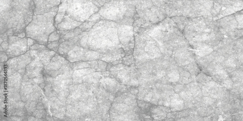 White marble texture Vector background. Vector paper texture background or cardboard surface from a paper box for packing. watercolor picture painting illustration background. vector illustration.