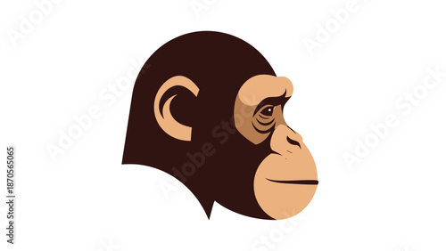 Chimpanzee profile portrait showcasing detailed features and expressive gaze, isolated.