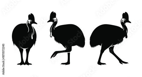 Three black silhouettes of emus standing in different poses on a white background