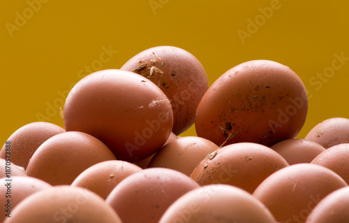 Brown chicken eggs on a yellow background