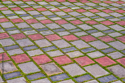 Patterned concrete paving stones with natural grass lines forming a repeating geometric ground texture