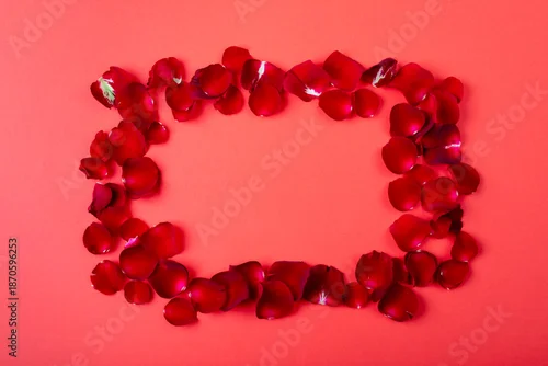 Obraz Overhead view of re rose petals arranged on coral background, copy space
