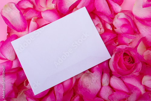 Overhead view of white envelope on flower petals, copy space