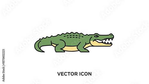 Green crocodile illustration with sharp teeth and a textured skin design.