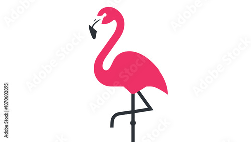 Pink flamingo stands gracefully on one leg, showcasing vibrant plumage and elegant posture.