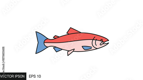 Vibrant illustration of a salmon fish, showcasing aquatic life and marine biology.