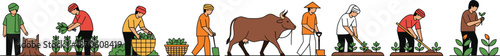 Vector illustration set of diverse farmers working in fields planting crops harvesting vegetables and using traditional methods with oxen for agricultural production.