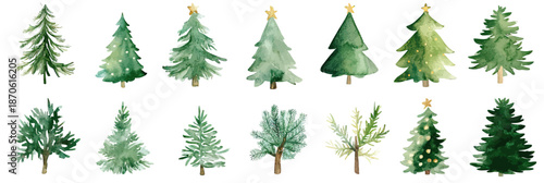 Collection of watercolor style green Christmas fir trees with gold stars and rustic pine branches in minimalist flat vector design