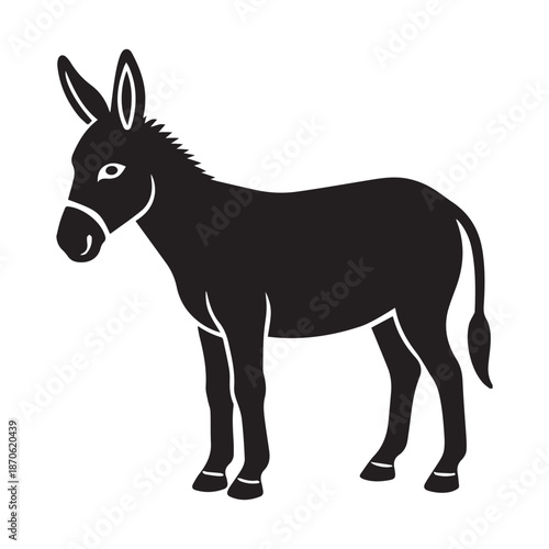 donkey isolated on white background