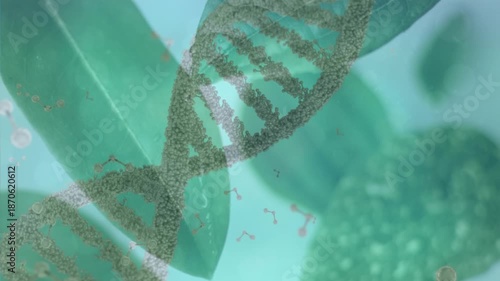 Animation of dna strand spinning over leaves
