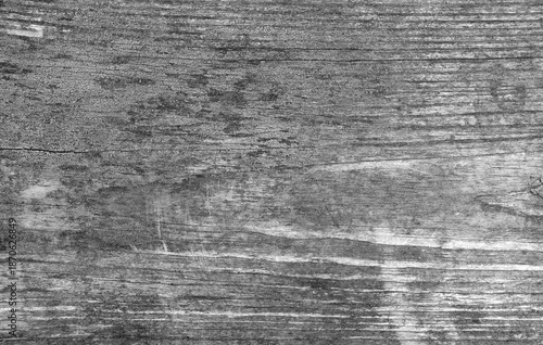 Wooden board with rest of old paint and moss. Black and white