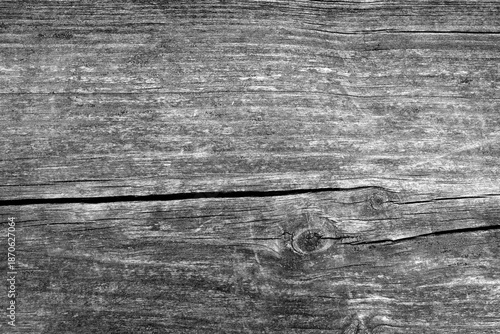 Wooden board with rest of old paint and moss.