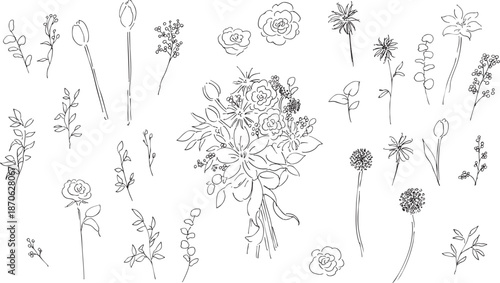 手描きの草木イラスト。植物のベクター背景イラスト。植物フレーム。Hand drawn plant illustration. Botanical vector background illustration. Plant frame.