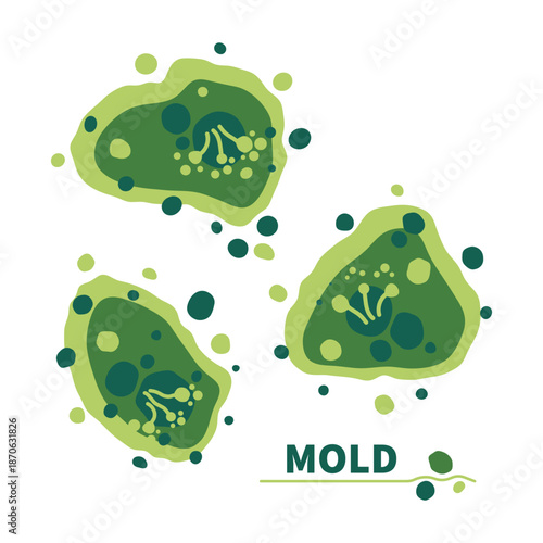 Green fungus spores growth vector illustration set.