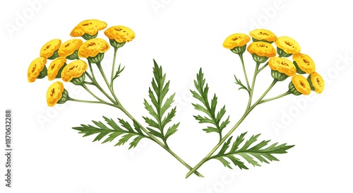 Wallpaper Mural 水彩の繊細さ、黄金色のタンジー Torontodigital.ca