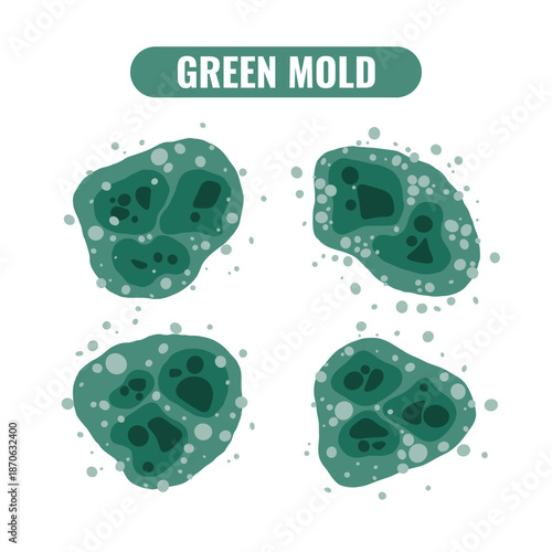Vector illustrations set showing greeen toxic mold spreading on wet surfaces. Mold contamination and health hazards. .