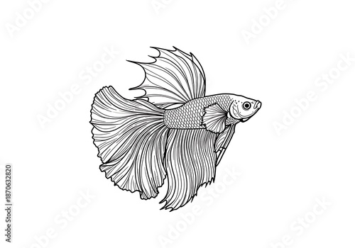 Wallpaper Mural 線描の美しさ、ベタの優雅な舞 Torontodigital.ca