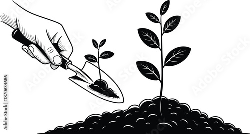 Hand planting seedling with trowel on white background