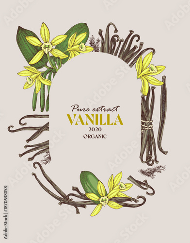 Vanilla vector label template in vintage style