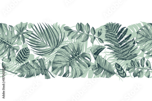 Tropical horizontal vector seamless border