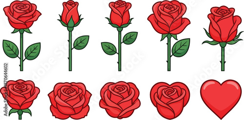 Vibrant red roses and heart on white background