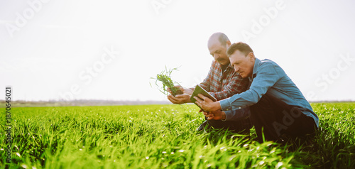 Obraz na płótnie Two experienced farmers inspect young plants in a green field using a digital tablet