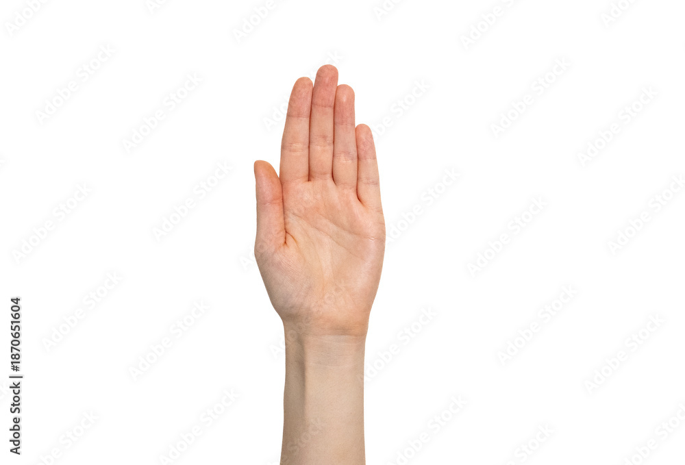 Fototapeta premium Open palm stop gesture isolated on neutral background