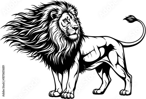 Powerful male lion standing with flowing mane in black and white vector style, majestic wild cat king animal mascot illustration