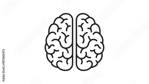 Minimalist line illustration of a human brain anatomy across two hemispheres for science and education.