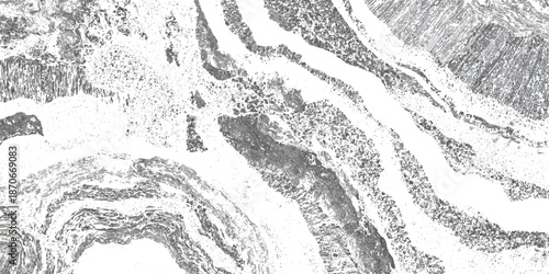 Abstract grunge sandstone strata pattern background texture. vintage geological rock fractures natural earth strata vector background.