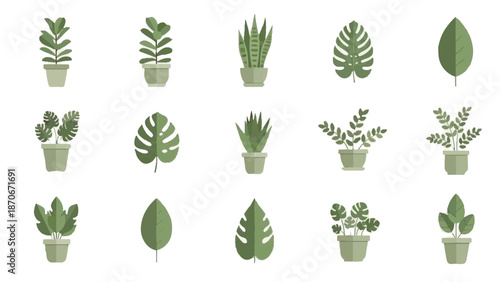 Minimal vector icon set of indoor plants, leaves, and botanical decorations.