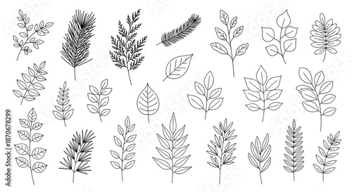 Set of hand-drawn tree branches and leaves with a delicate dashed line effect for botanical and nature-themed designs.