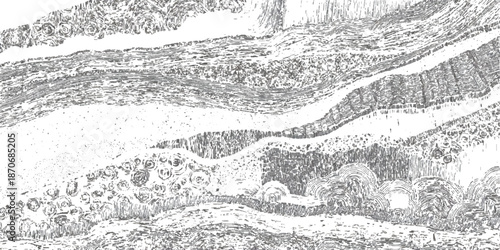 Abstract grunge sandstone strata pattern background texture. vintage geological rock fractures natural earth strata vector background.