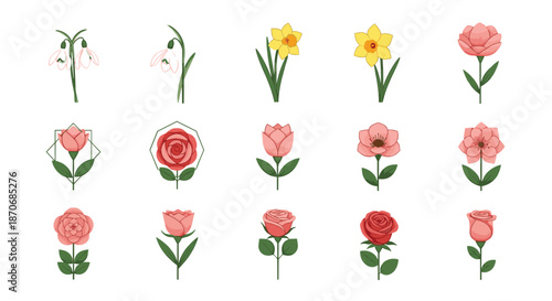 Set of beautiful spring and summer flowers including roses daffodils and snowdrops in a charming and colorful vector illustration style.