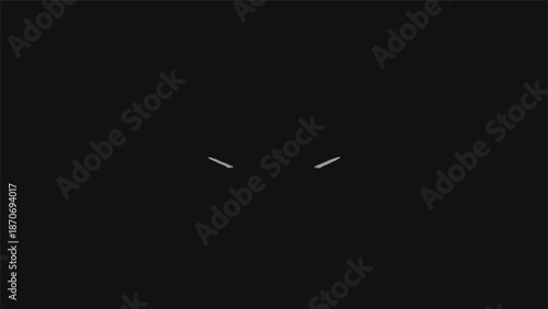 Two small bright eyes staring intently from the darkness, observing everything around.