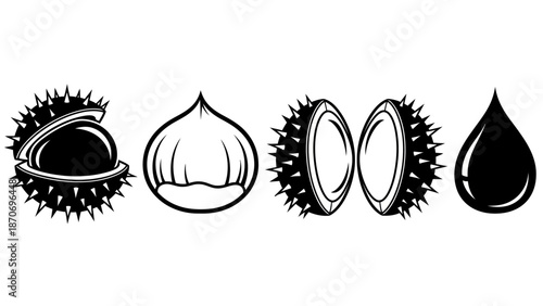 Horse chestnut nut stages and oil drop icon set in black and white vector