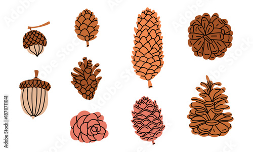 Set of pine cones and acorns in flat colors . Autumn and Winter Forest collection for seasonal decorations, festive greeting cards, botanical prints, or nature-themed graphic design materials.