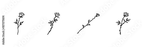 Rose Buds And Stems In Hand Drawn Style Set. Floral Growth, Nature'S Beauty, Botanical Illustration Doodle Sketch Collection. Elegant Plant Design. Isolated Vector Illustration