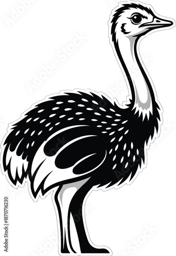 Ostrich Bird Black And White Illustration Vector
